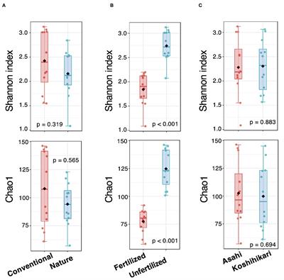 Distinct Root Microbial Communities in Nature Farming Rice Harbor Bacterial Strains With Plant Growth-Promoting Traits